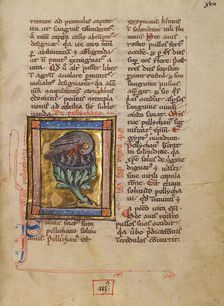 A Pelican Feeding her Young; Bestiary, about 1270. Creator: Unknown