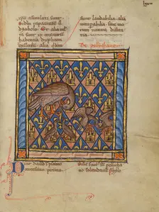 A Pelican Feeding her Young; Bestiary, about 1270. Creator: Unknown