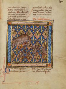 A Pelican Feeding her Young; Bestiary, about 1270. Creator: Unknown