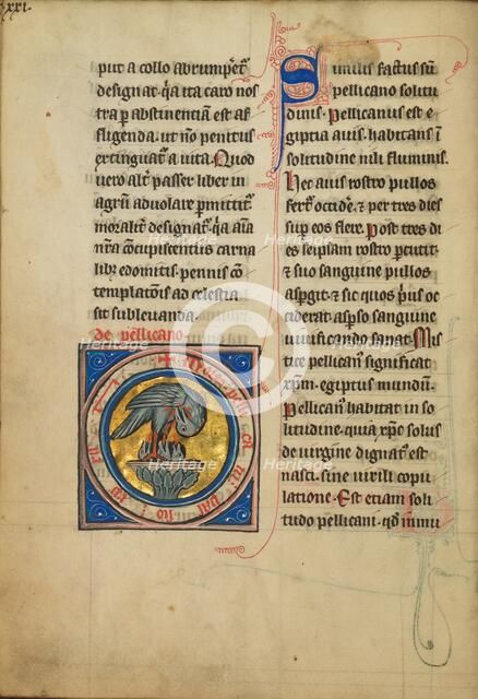 A Pelican Feeding her Young; De Natura Avium; De Pastoribus et Ovibus, 1277 or after. Creator: Unknown.