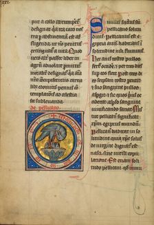 A Pelican Feeding her Young; De Natura Avium; De Pastoribus et Ovibus, 1277 or after. Creator: Unknown
