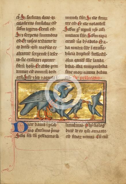 A Pelican Feeding her Young; De Natura Avium; De Pastoribus et Ovibus; Bestiarium, 1277 or after. Creator: Unknown.