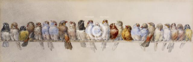 A Perch of Birds, c1880. Creator: Hector Giacomelli.