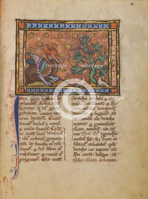 A Peridexion Tree; Bestiary, about 1270. Creator: Unknown.
