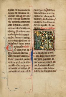 A Peridexion Tree; De Natura Avium; De Pastoribus et Ovibus; Bestiarium, 1277 or after. Creator: Unknown