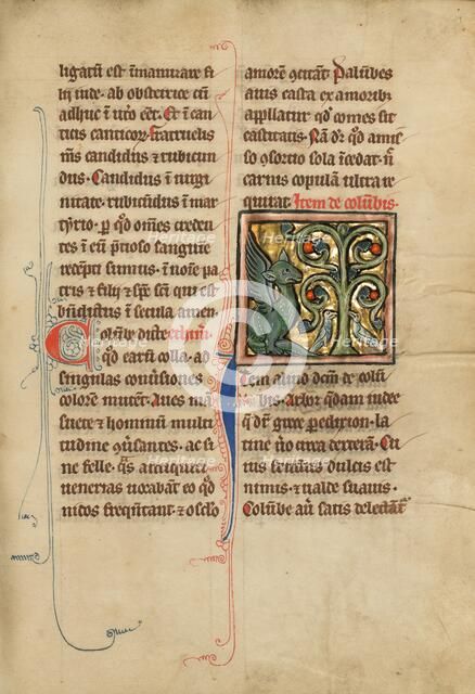 A Peridexion Tree; De Natura Avium; De Pastoribus et Ovibus; Bestiarium, 1277 or after. Creator: Unknown.