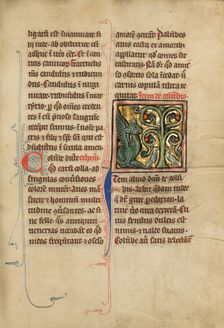 A Peridexion Tree; De Natura Avium; De Pastoribus et Ovibus; Bestiarium, 1277 or after. Creator: Unknown