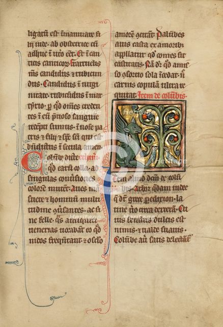 A Peridexion Tree; De Natura Avium; De Pastoribus et Ovibus; Bestiarium, 1277 or after. Creator: Unknown.