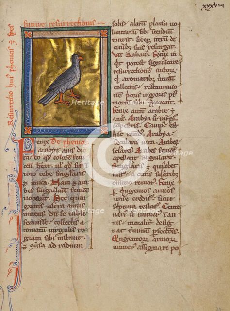 A Phoenix; Bestiary, about 1270. Creator: Unknown.