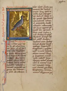 A Phoenix; Bestiary, about 1270. Creator: Unknown