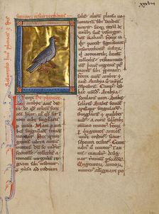 A Phoenix; Bestiary, about 1270. Creator: Unknown