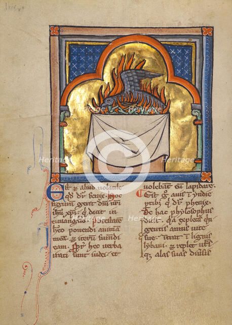 A Phoenix; Bestiary, about 1270. Creator: Unknown.