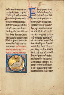 A Phoenix; De Natura Avium; De Pastoribus et Ovibus; Bestiarium, 1277 or after. Creator: Unknown