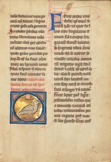 A Phoenix; De Natura Avium; De Pastoribus et Ovibus; Bestiarium, 1277 or after. Creator: Unknown