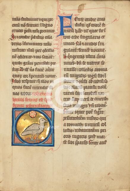 A Phoenix; De Natura Avium; De Pastoribus et Ovibus; Bestiarium, 1277 or after. Creator: Unknown.