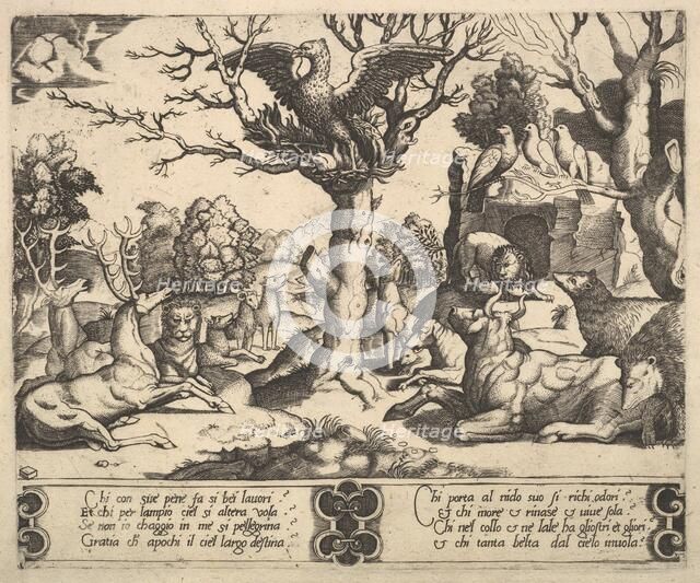 A phoenix sat atop a tree, wings open, an assortment of animals below, 1530-60. Creator: Master of the Die.