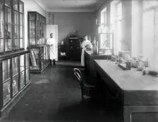 A physiology laboratory, either at the Institute of Experimental Medicine or at the Imperial...,1904 Creator: Unknown