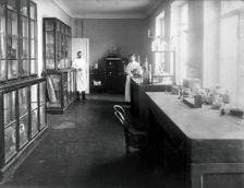 A physiology laboratory, either at the Institute of Experimental Medicine or at the Imperial...,1904 Creator: Unknown