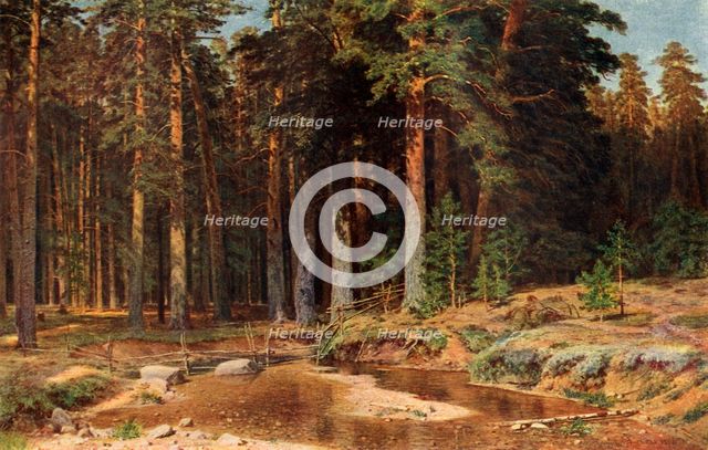 'A Pine Grove', 1898, (1939). Creator: Ivan Shishkin.