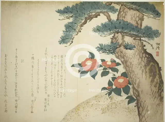 A Pine Tree and Camellias, c. 1815. Creator: Niwa Tokei.