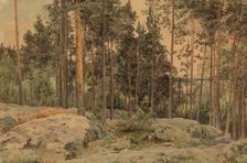 A pine tree near the lake shore, 1857. Creator: Werner Holmberg