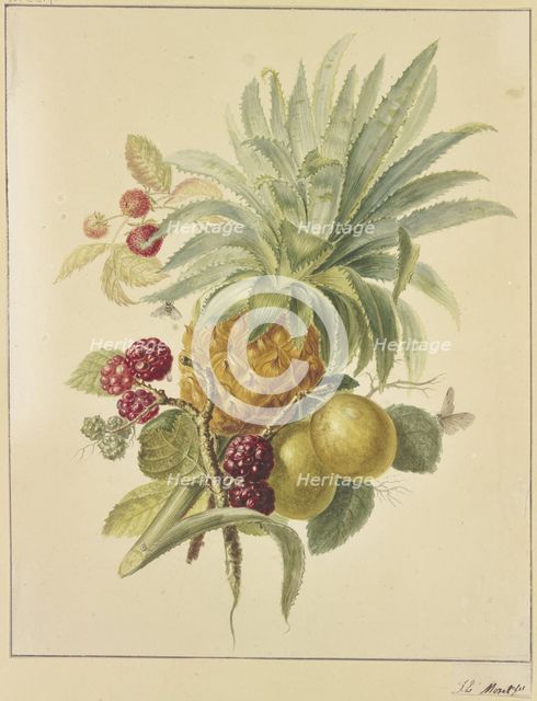 A pineapple, plums, and raspberries. Creator: Jan Evert Morel.