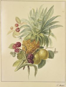 A pineapple, plums, and raspberries. Creator: Jan Evert Morel