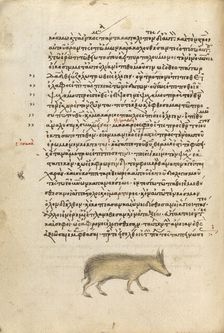 A Pig, 1510-1520. Creator: Unknown