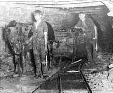 A pit pony pulling a tub full of coal at Brinsley Colliery, Nottinghamshire, 1913. Creator: Rev FW Cobb