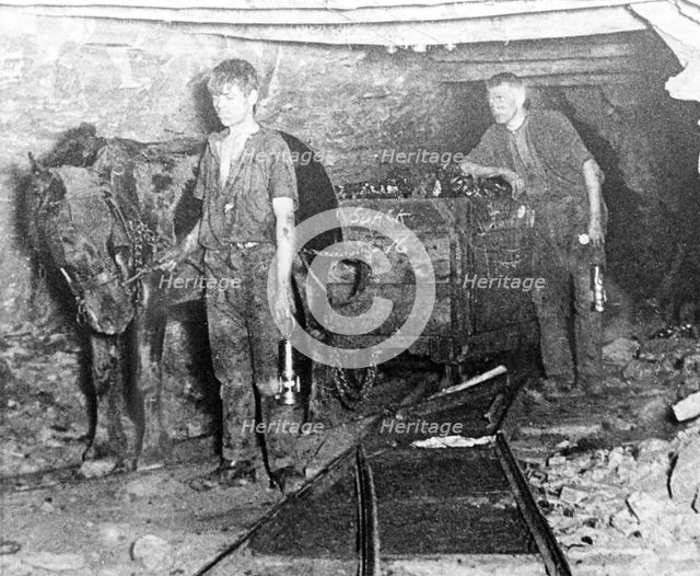 A pit pony pulling a tub full of coal at Brinsley Colliery, Nottinghamshire, 1913. Creator: Rev FW Cobb.
