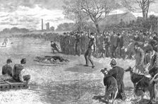 'A Pitmans Holiday -- Rabbit Coursing with Greyhounds 1890. Creator: Unknown