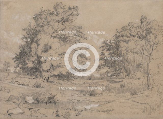 A Pond In The Forest, c1840. Creator: Constant Troyon.