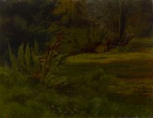 A pond in the forest, exercise, 1854. Creator: Werner Holmberg