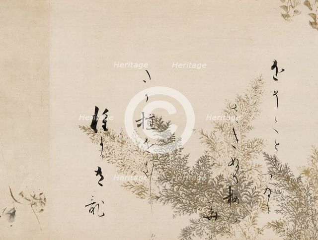 A Poem from the Shin Kokinshu with Design of Shinobugusa (Moss Fern), 1605-10. Creator: Hon'ami Kôetsu.