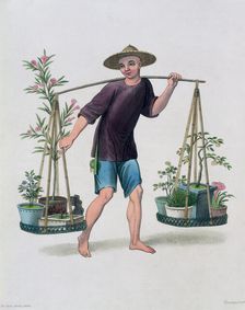 A Porter with Fruit Trees and Flowers China, 1800. Artist: J Dadley