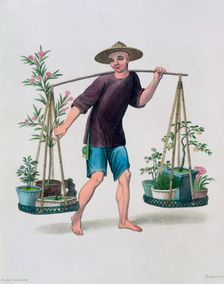 A Porter with Fruit Trees and Flowers China, 1800. Creator: J Dadley