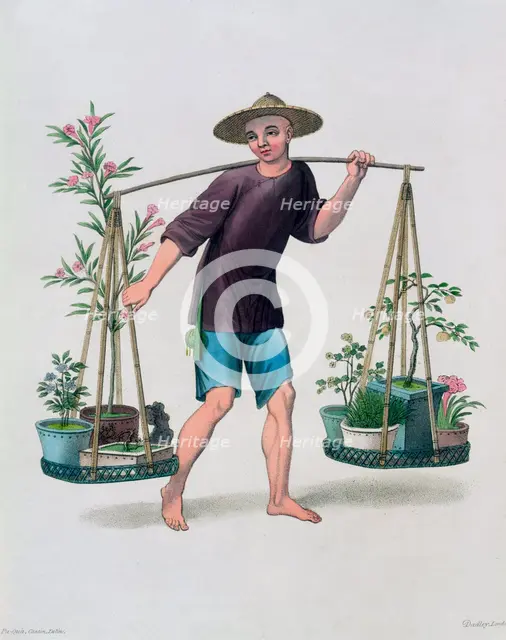 'A Porter with Fruit Trees and Flowers', China, 1800. Creator: J Dadley.