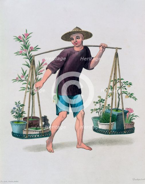 'A Porter with Fruit Trees and Flowers', China, 1800. Creator: J Dadley.