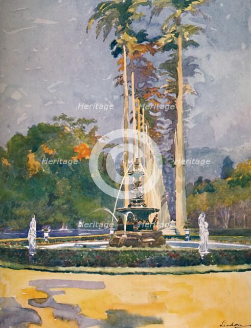 'A portion of the Avenue of Royal Palms, Botanical Gardens', 1914. Artist: Unknown.