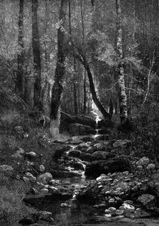 A Place for a Picnic, 1881. Creator: William James Palmer