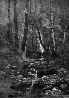 A Place for a Picnic, 1881. Creator: William James Palmer