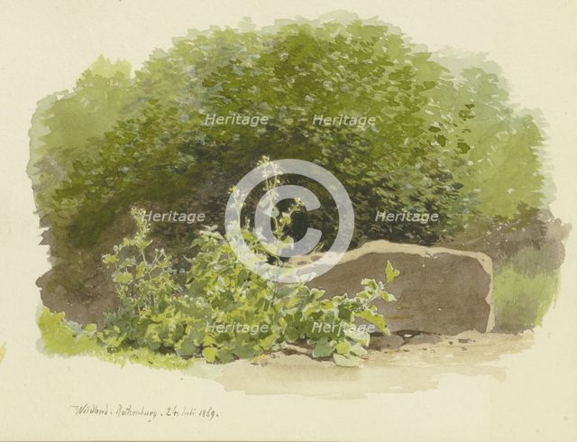 A plant next to a stone block, with bushes behind it, 1869. Creator: Carl Theodor Reiffenstein.