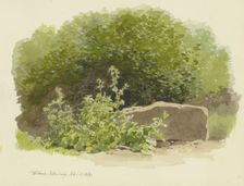 A plant next to a stone block, with bushes behind it, 1869. Creator: Carl Theodor Reiffenstein