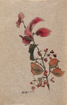 A plant, possibly an Euonymus species: fruiting branch. Creator: Unknown