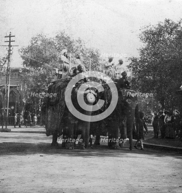 A Punjabi princess riding an elephant in a procession, Delhi, India, 1900s.Artist: H Hands & Son