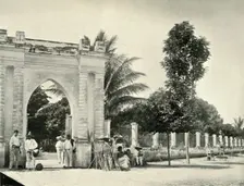 A Public Garden in Tropical Mexico: View at Colima 1919. Creator: Unknown
