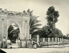 A Public Garden in Tropical Mexico: View at Colima 1919. Creator: Unknown