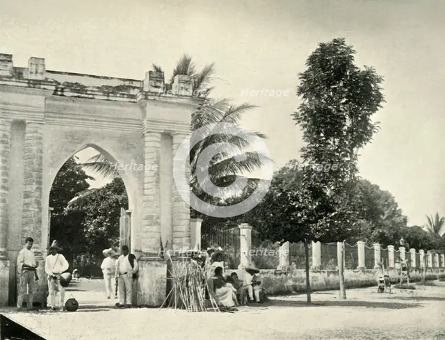 'A Public Garden in Tropical Mexico: View at Colima', 1919. Creator: Unknown.