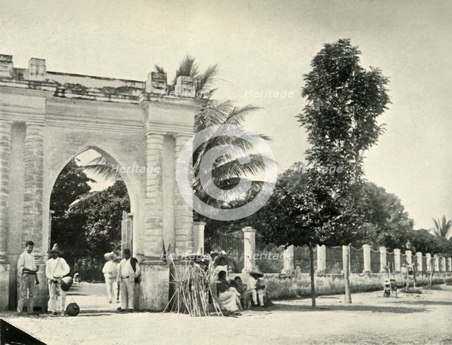 'A Public Garden in Tropical Mexico: View at Colima', 1919. Creator: Unknown.
