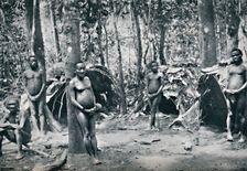 A Pygmy village, North-East Congo Basin, 1912